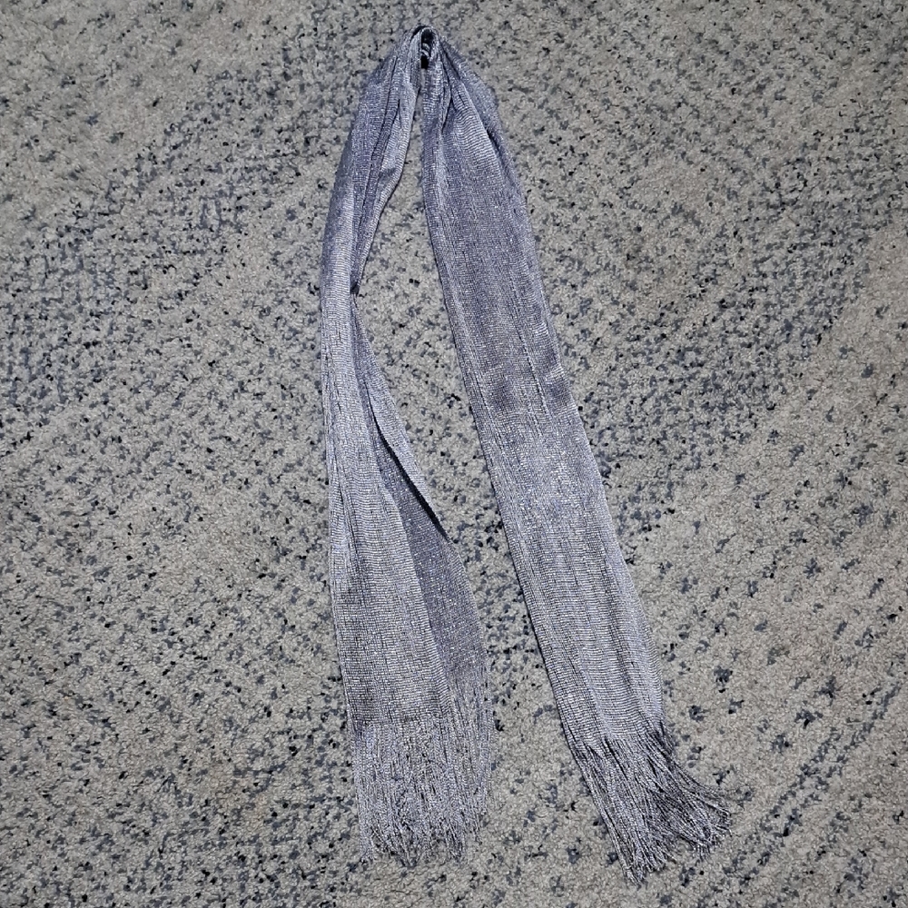Source Unknown Shimmering Gray Scarf